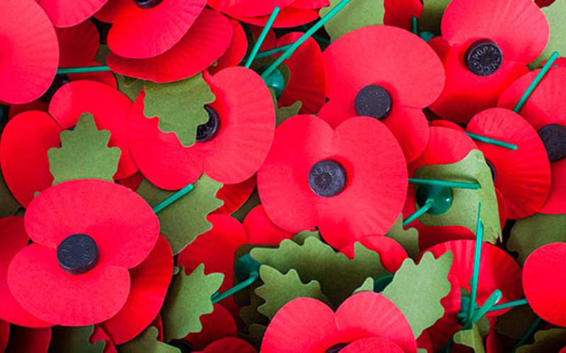 Blog Header Image